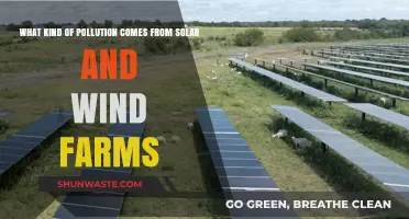 Green Energy's Dark Side: Solar and Wind Farm Pollution