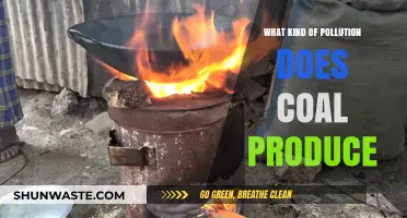 Coal's Dark Side: Pollution and Its Many Forms