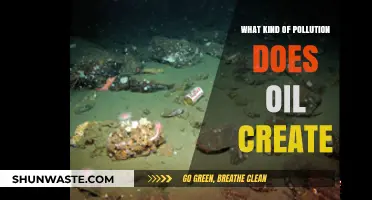 Oil Pollution: Understanding Its Devastating Impact on Our Planet