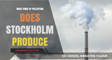 Stockholm's Pollution: An Environmental Concern