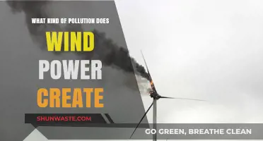 Wind Power's Pollution: What's the Catch?