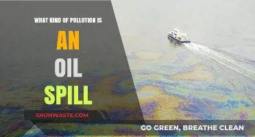 Oil Spill: Understanding Its Devastating Impact on the Environment