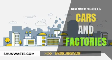 Vehicular and Industrial Pollution: Understanding the Impact