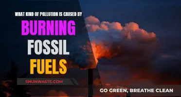 Unveiling the Hidden Costs: Fossil Fuel Pollution's Impact