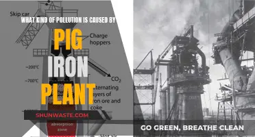 Pig Iron Plant's Environmental Impact: Understanding Air and Water Pollution