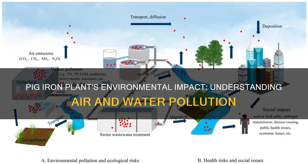 what kind of pollution is caused by pig iron plant