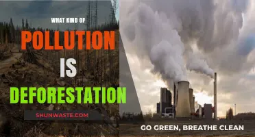 Deforestation: Devastating Pollution and Its Impact