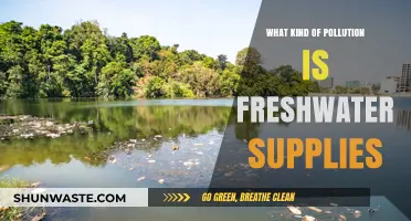 Freshwater Pollution: Toxic Threats to Our Waterways