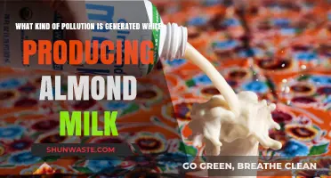 Almond Milk: Environmental Impact and Pollution