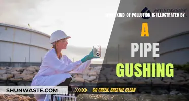 The Pipe's Dark Secret: Industrial Pollution's Legacy