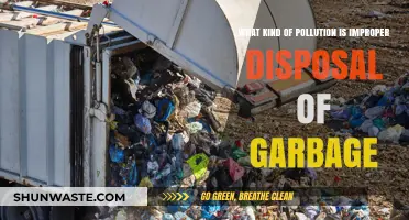 Improper Garbage Disposal: Understanding Its Environmental Impact