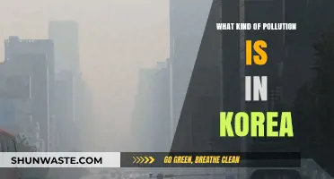 Air, Water, and Soil Pollution in Korea