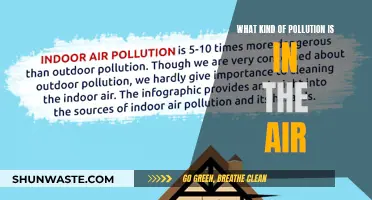 Air Pollution: What's in the Air We Breathe?