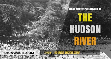 Industrial Pollution in Hudson River: A Historical Perspective
