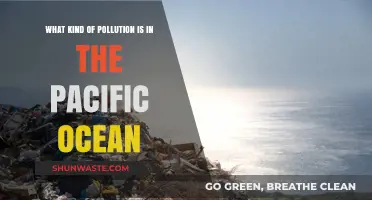 The Pacific Ocean: A Pollution Crisis