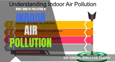 Indoor Air Pollution: Understanding the Different Types of Contaminants