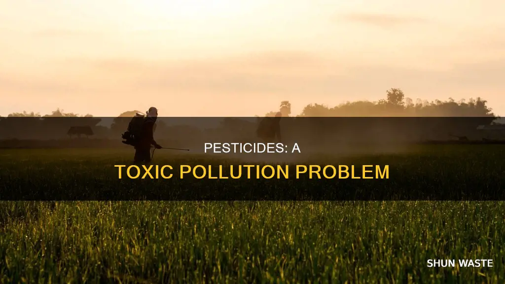 what kind of pollution is pesticides