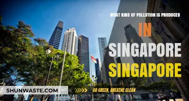 Singapore's Pollution: What's the Harm?
