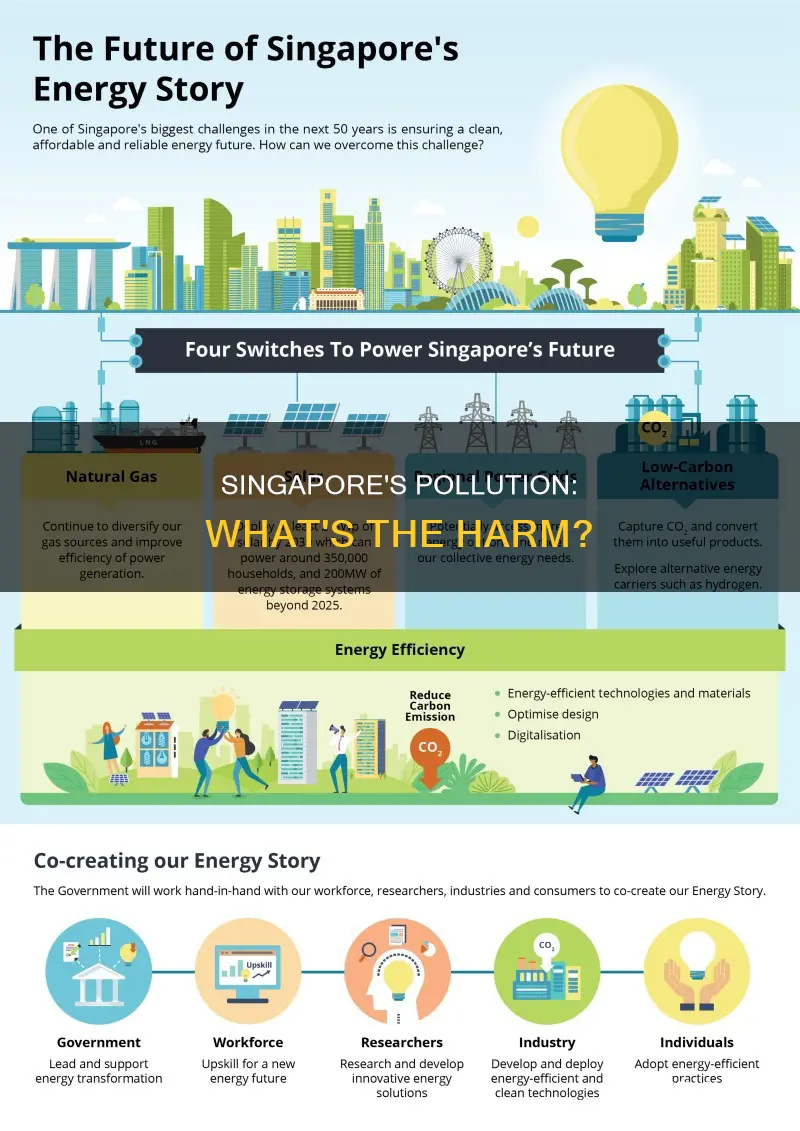 what kind of pollution is produced in singapore singapore
