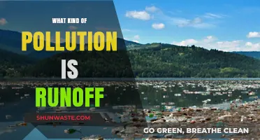 Understanding the Impact of Runoff Pollution