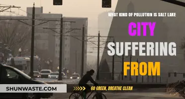 Salt Lake City's Pollution Problem: What's the Issue?
