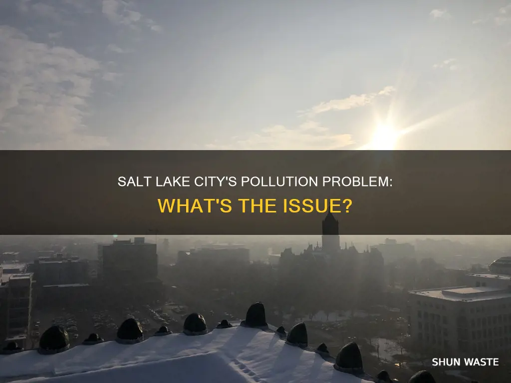 what kind of pollution is salt lake city suffering from