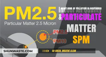 Understanding Suspended Particulate Matter: Sources and Impacts
