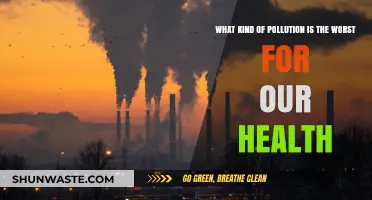 Air, Water, Soil: Which Pollution is Deadliest?