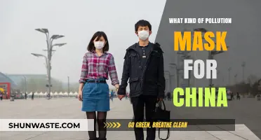 China's Pollution: Choosing the Right Mask