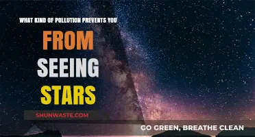 Light Pollution: Blocking Our View of the Stars