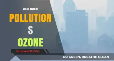 Ozone Pollution: A Complex Environmental Concern