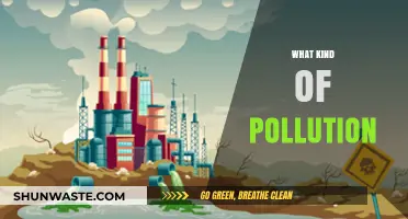 The Many Faces of Pollution: Understanding the Different Types