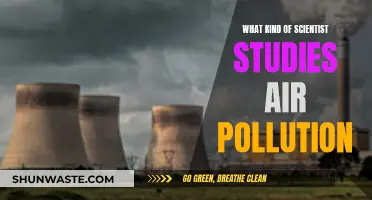 Air Pollution Investigators: Unveiling the Scientific Experts