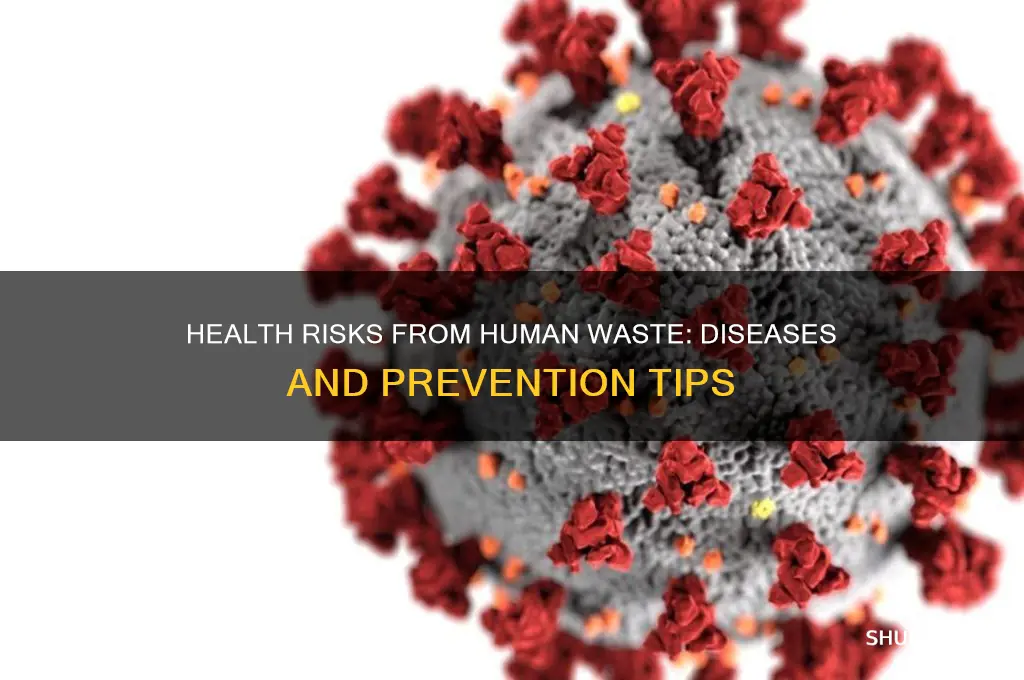 what kind of sickness do you get from human waste