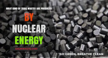 Nuclear Energy's Dark Side: Types of Toxic Waste Produced
