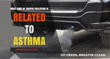 Traffic Pollution and Asthma: Understanding the Link