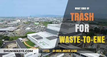 Waste-to-Energy: Identifying Suitable Trash Types for Sustainable Power Generation