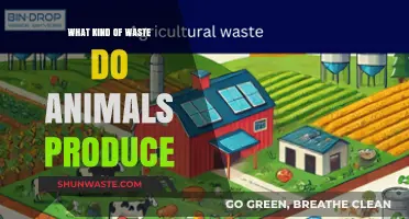Exploring the Types of Waste Produced by Animals in Nature
