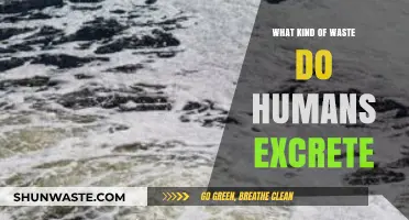 Human Waste Types: Exploring What Our Bodies Excrete Daily