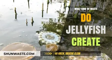 Jellyfish Waste: Understanding Their Unique Environmental Impact and Byproducts