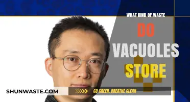 Vacuoles: Cellular Waste Storage and Their Essential Role in Organisms