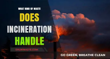 Incineration's Role in Managing Diverse Waste Types Explained