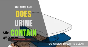 Unveiling Urine's Hidden Waste: Surprising Components and Their Impact