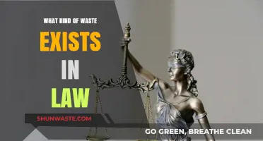 Uncovering Legal Waste: Types, Impacts, and Solutions in Law