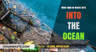 Ocean Pollution: Unveiling the Types of Waste Invading Our Seas