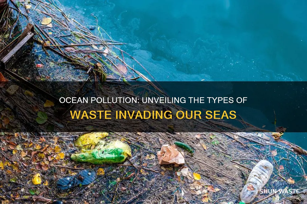 what kind of waste gets into the ocean
