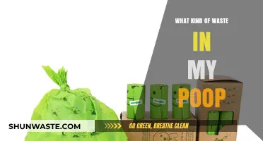 Understanding Your Poop: Decoding Waste Types and What They Indicate