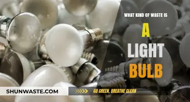Light Bulb Disposal: Understanding the Waste Classification and Recycling