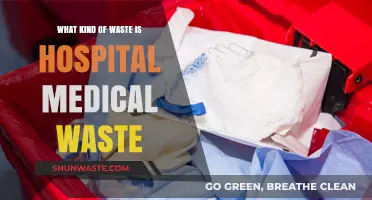 Understanding Hospital Medical Waste: Types, Risks, and Safe Disposal Methods