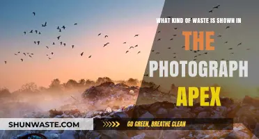 Identifying Waste Types in the Photograph: An Apex Analysis